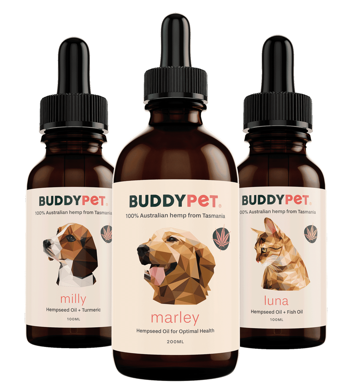 BUDDYPET family pack - hemp oil for your furry family